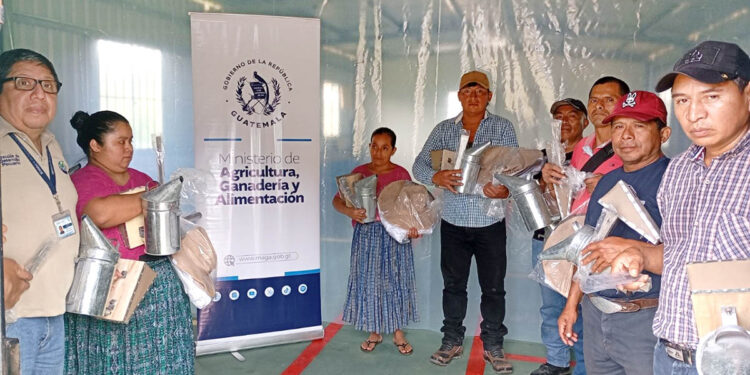 Fortaleciendo la producción apícola con insumos para protección personal