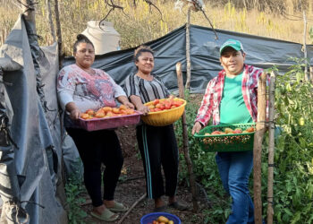 Fortalecimiento a la producción agrícola sostenible en Obraje Cruz