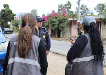 Imponen multa por crueldad y abandono animal por más de Q49 mil