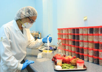 Importancia de la sanidad vegetal