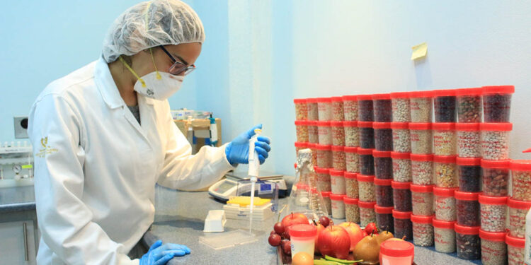 Importancia de la sanidad vegetal