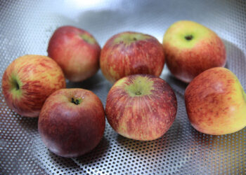 La manzana favorece la digestión y tiene beneficios para la salud