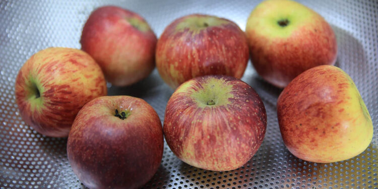 La manzana favorece la digestión y tiene beneficios para la salud