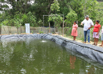 La piscicultura es clave para la seguridad alimentaria y el desarrollo económico