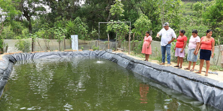 La piscicultura es clave para la seguridad alimentaria y el desarrollo económico