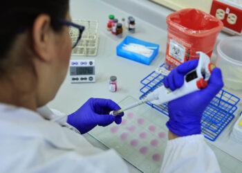 Laboratorio de Sanidad Animal trabaja en la detección del Gusano Barrenador del Ganado