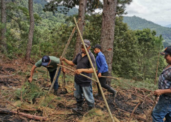 Prácticas de conservación de suelos protegerán recursos naturales en Sololá
