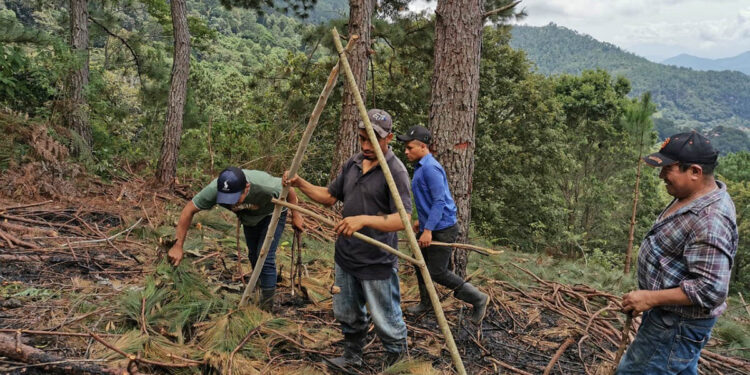 Prácticas de conservación de suelos protegerán recursos naturales en Sololá