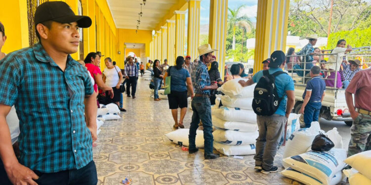 Productores de El Progreso reciben Bono Campesino