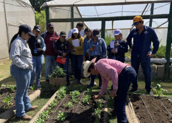 Proyecto “Huerto en el Hogar” iniciará en Escuintla