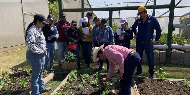 Proyecto “Huerto en el Hogar” iniciará en Escuintla