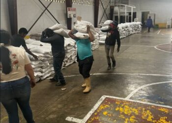 Reciben alimentos básicos para familias vulnerables de Patzicía