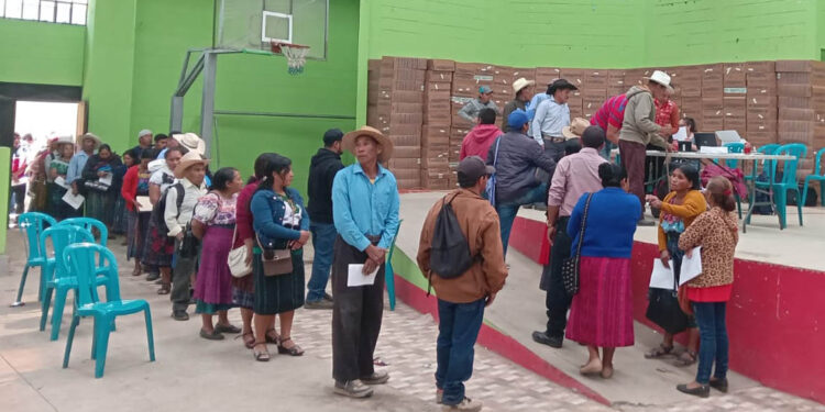 Seguimos impulsando la agricultura sostenible y la seguridad alimentaria