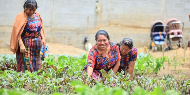 ¿Quiénes pueden ser beneficiarios del Crédito Tob’anik?