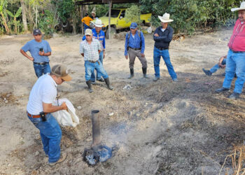 Transforman prácticas agrícolas en San Rafael Las Flores, Santa Rosa