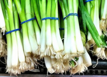 Una planta de la familia de la cebolla, muy apreciada en la cocina