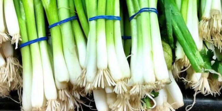 Una planta de la familia de la cebolla, muy apreciada en la cocina
