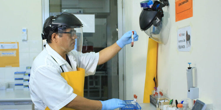 Velando por la sanidad animal