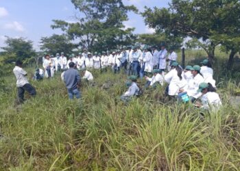 Contribuyendo con la formación agrícola de la juventud guatemalteca