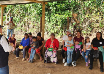 Agricultura familiar fortalece el desarrollo comunitario