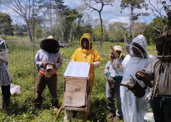 Apicultores de Santa Ana capacitados para mejorar producción de miel