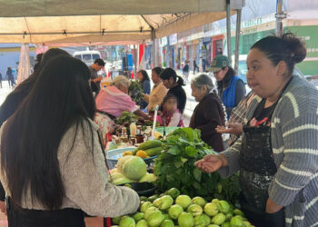 Arranca la Feria del Agricultor 2025 en Sacatepéquez, Huehuetenango y El Progreso