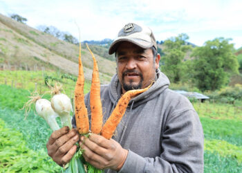 Así contribuirá el Crédito Tob’anik a una mejor calidad de vida de los agricultores