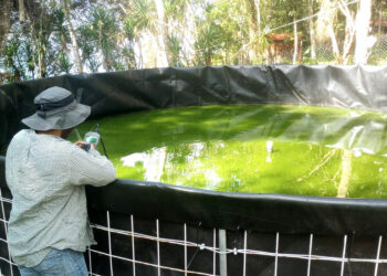 Asistencia técnica permite optimizar la producción acuícola