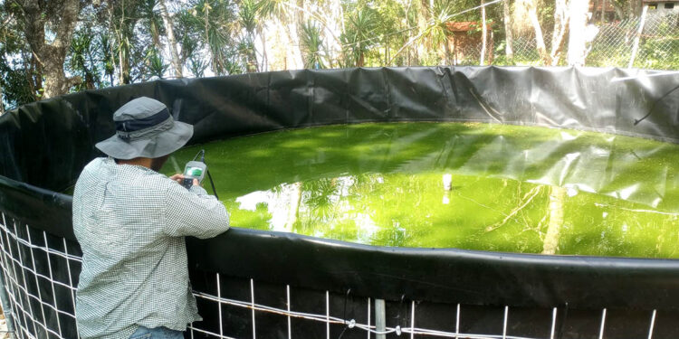 Asistencia técnica permite optimizar la producción acuícola