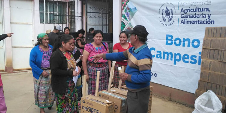 Avanza distribución del Bono Campesino en Momostenango y Tiquisate