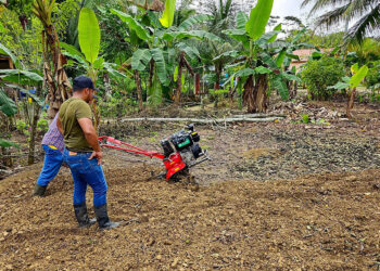 Brigada agrícola apoya el establecimiento de parcela de sandía en San Luis
