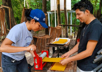 Brindan capacitación a productores de miel de Petén