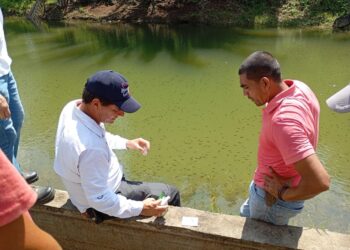 Capacitan a productores de peces de Petén en el manejo de cultivo de tilapia