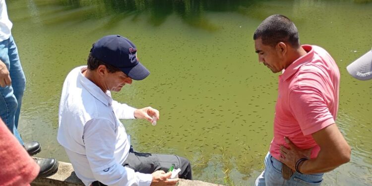 Capacitan a productores de peces de Petén en el manejo de cultivo de tilapia
