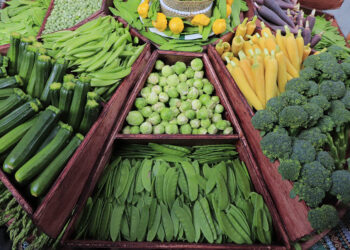 Conozca los alimentos protectores