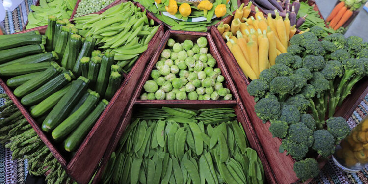 Conozca los alimentos protectores