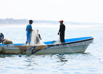 Conozca qué son las vedas de pesca