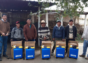 Continúa el fortalecimiento de la producción agrícola con el Bono Campesino