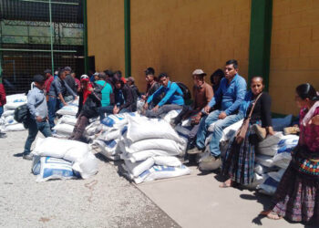 Continúan las dotaciones del Bono Campesino en Chimaltenango y Baja Verapaz