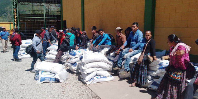 Continúan las dotaciones del Bono Campesino en Chimaltenango y Baja Verapaz