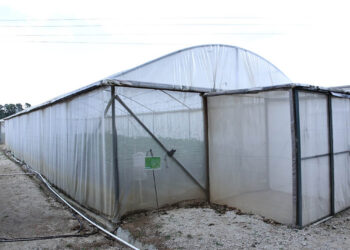 Crece el uso de invernaderos