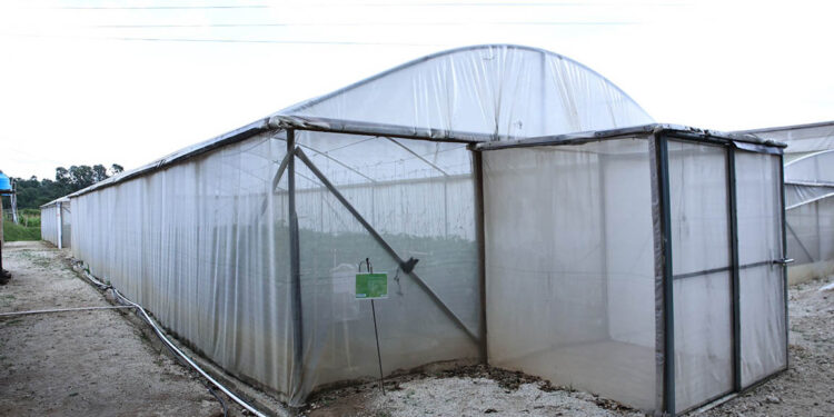 Crece el uso de invernaderos