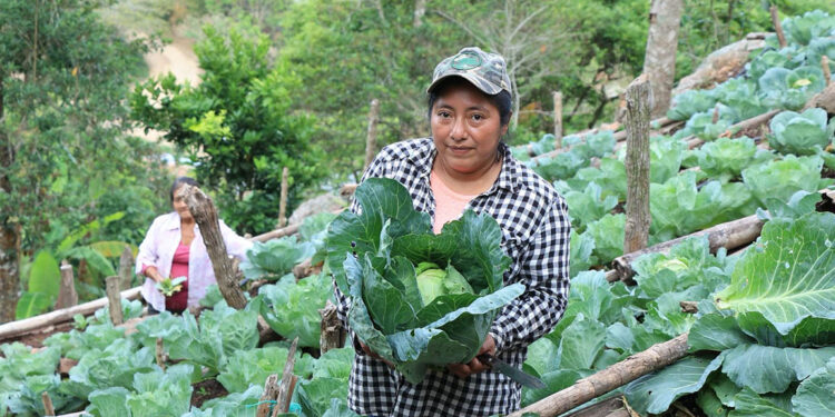 Crédito Tob’anik impulsará el desarrollo sostenible