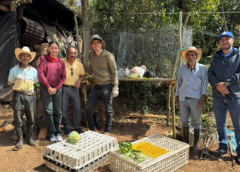 Crianza de conejos fortalecerá la seguridad alimentaria y la economía familiar