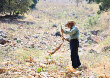 Prevengamos los incendios forestales con buenas prácticas agrícolas