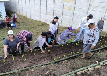 En más municipios de Chiquimula se implementan los huertos comunitarios