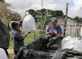 Entregan más de 29 mil alevines a productores de Petén