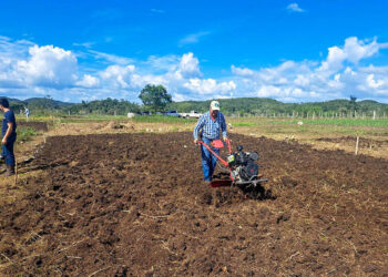 Estudiantes peteneros aprenden a preparar el terreno para cultivar jalapeños