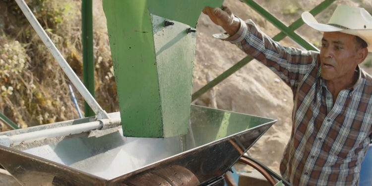 Fonagro y su rol en el sector agropecuario de Guatemala