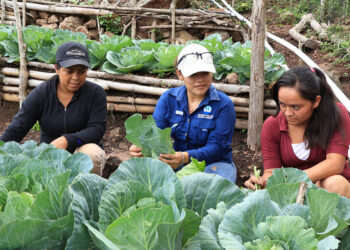 Huertos comunitarios, una semilla de bienestar para las familias guatemaltecas